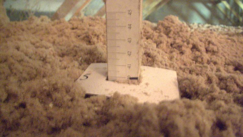 Ouate de cellulose Nature sans encre