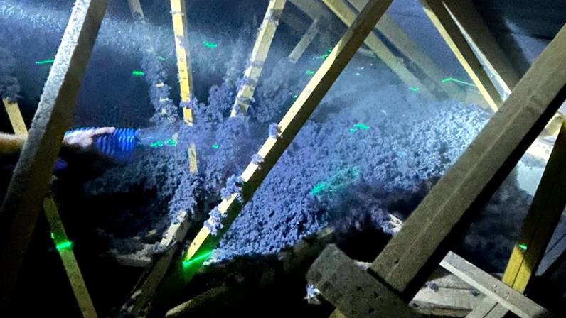 Soufflage Fileco Chausson Lons